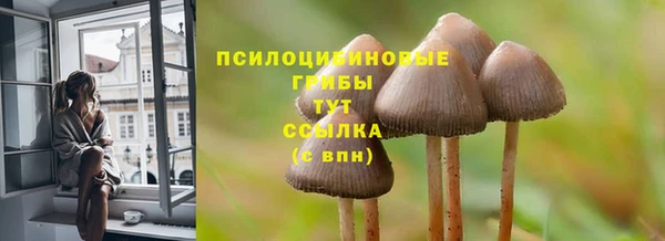 меф Алексин